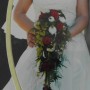 kleid kleid