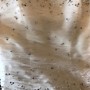 E41B8123-E7D2-4F45-ACBF-B50678FD06C4 E41B8123-E7D2-4F45-ACBF-B50678FD06C4