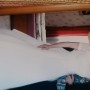 IMG_20210207_114745 IMG_20210207_114745