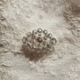 IMG_20201105_163724