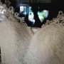 IMG_20210301_165620 IMG_20210301_165620
