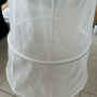 IMG_6086 IMG_6086