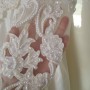 DSCF8517 DSCF8517