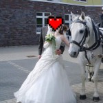 FB_IMG_1632374874778