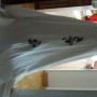 DSC03379 DSC03379