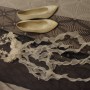 DSC01516 DSC01516