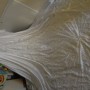 DSC01527 DSC01527