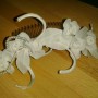 IMG_20211215_135128 IMG_20211215_135128