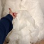 Bild 11 Bild 11