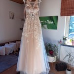 AA6D36FD-8B32-4B40-8E66-AEFF927EBEAD