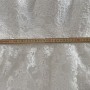 IMG_1025 IMG_1025
