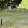IMG_4498 IMG_4498